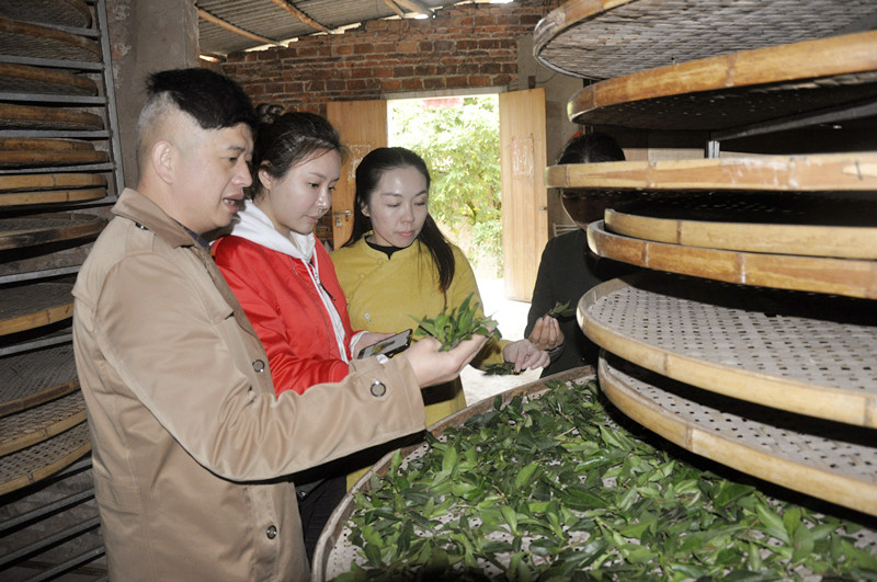 天晟茶艺培训学校是否有茶艺表演和茶席设计课程?